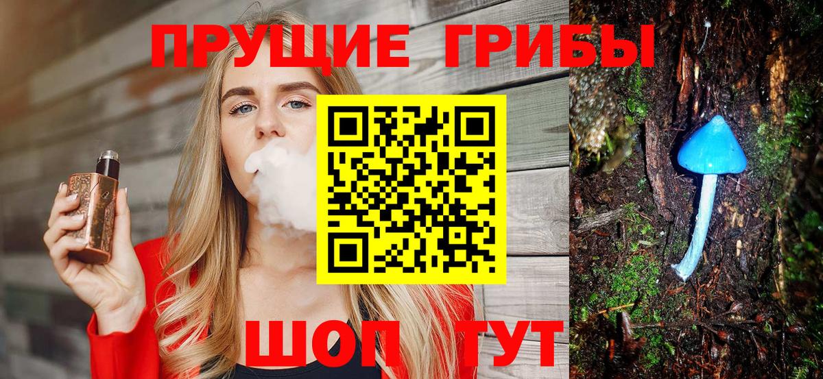 Псилоцибиновые грибы Psilocybe  Псилоцибиновые грибы мицелий  Алушта  Вход с VPN 